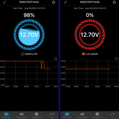 TAC™ 12V Bluetooth Battery Monitor